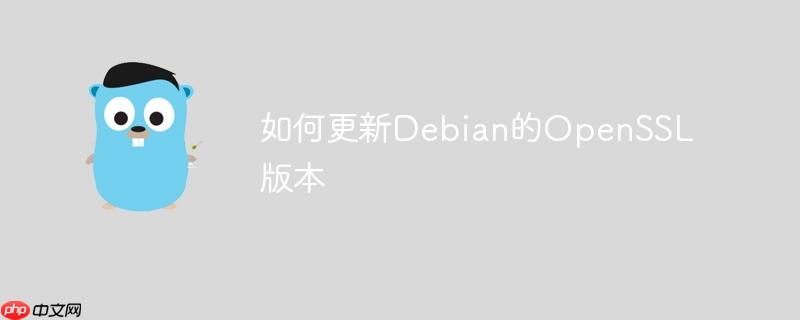 如何更新Debian的OpenSSL版本-小浪學習網
