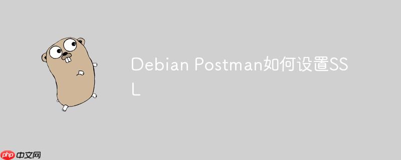Debian Postman如何設置SSL-小浪學習網