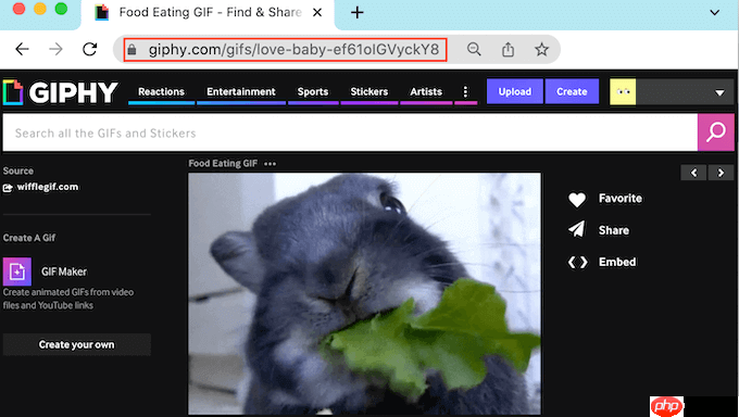 如何在 WordPress 中從 Giphy 添加 GIF（2 種方法）