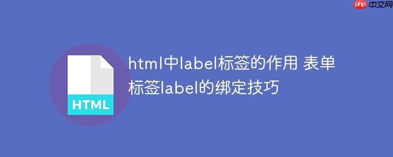 html中label標簽的作用 表單標簽label的綁定技巧-小浪學習網
