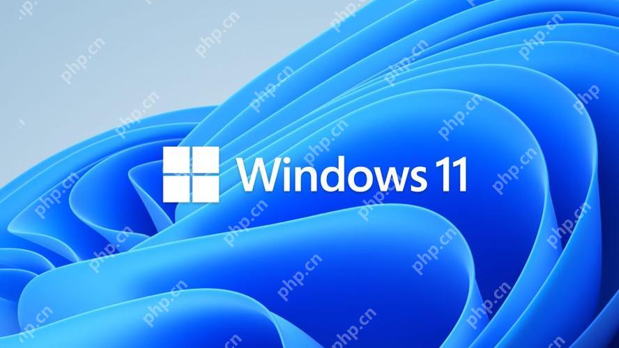 win11跳過網絡連接教程 win11繞過網絡連接方法-小浪學習網