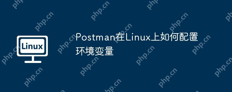 Postman在Linux上如何配置環(huán)境變量-小浪學(xué)習(xí)網(wǎng)