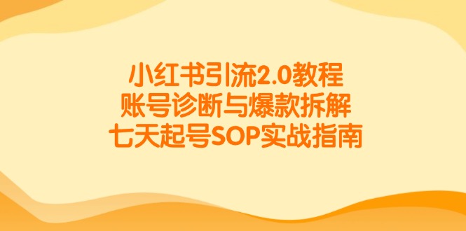 小紅書引流2.0教程，賬號診斷與爆款拆解，七天起號SOP實戰指南-小浪學習網