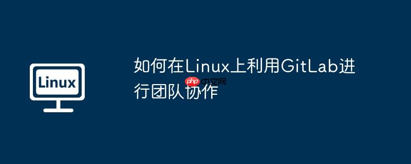 如何在Linux上利用GitLab進行團隊協作-小浪學習網