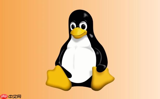 Linux中dev目錄的作用是什么 設(shè)備文件管理詳解-小浪學(xué)習(xí)網(wǎng)