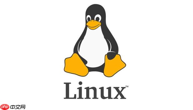 如何理解Linux根目錄結構 主要目錄功能解析與用途說明