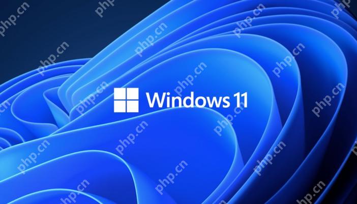 win11激活如何跳過聯網設置 win11免聯網激活教程-小浪學習網