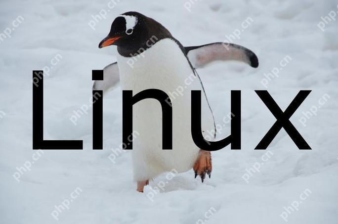 Linux如何監(jiān)控網(wǎng)絡流量？iftop和nload有什么區(qū)別？-小浪學習網(wǎng)