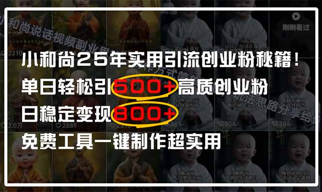 （14436期）小和尚2025年實用引流秘籍！單日輕松引500+高質量創業粉，日變現800+，…-小浪學習網