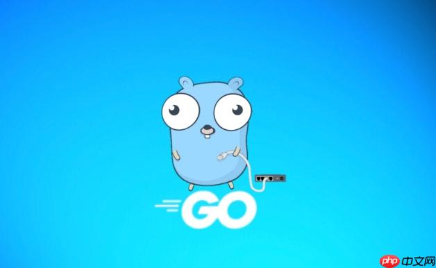Golang結構體如何定義和使用 Golang結構體語法全面解析-小浪學習網