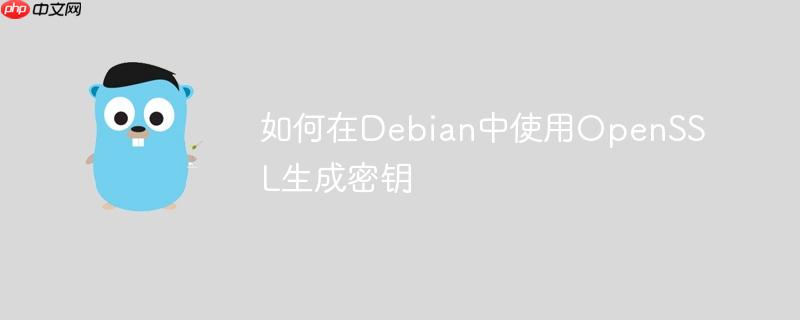 如何在Debian中使用OpenSSL生成密鑰-小浪學習網