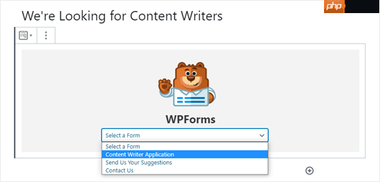 如何在 WordPress 中創建工作申請表（簡單）