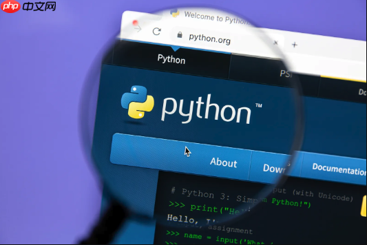 Python中的依賴注入（Dependency Injection）如何實現？
