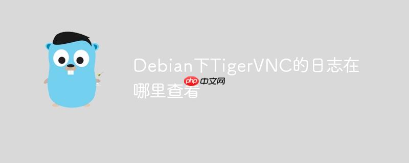 Debian下TigerVNC的日志在哪里查看-小浪學習網