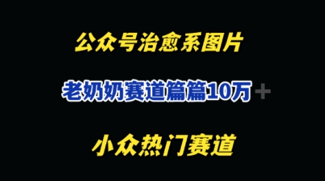 公眾號老奶奶治愈系流量主，篇篇10W+-小浪學習網