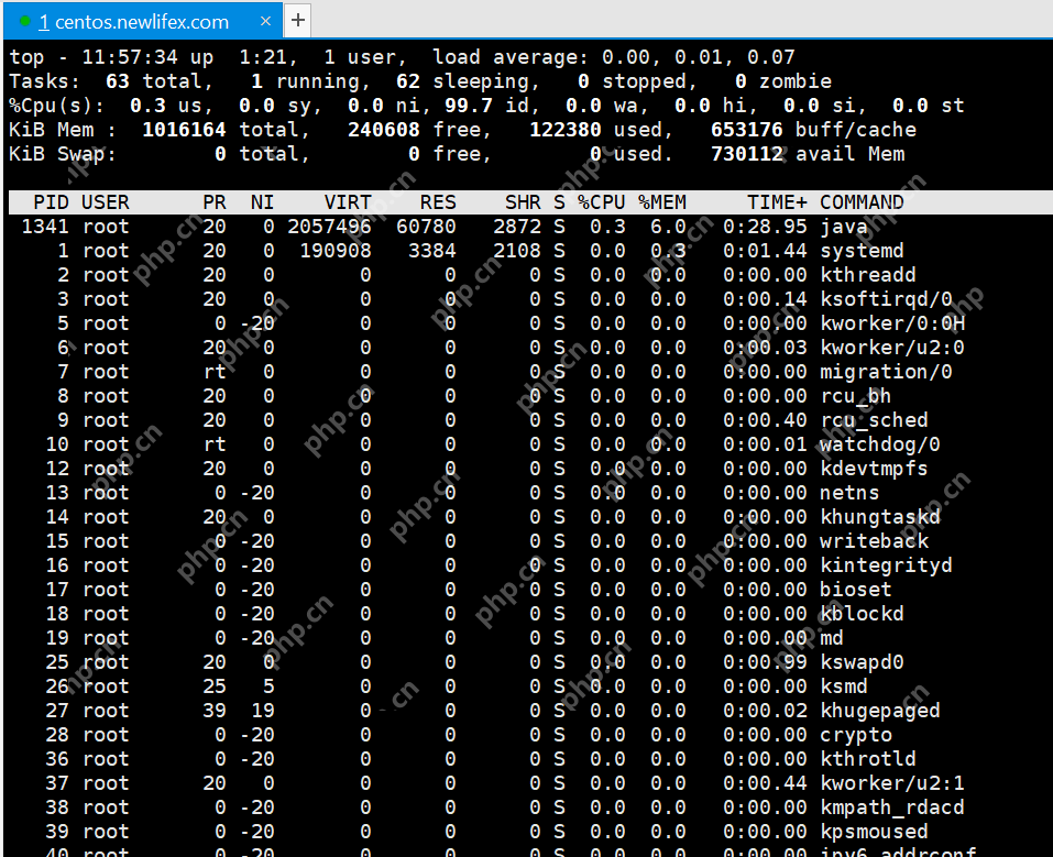 [netcore]CentOS安裝使用.netcore極簡教程（免費提供學習服務器） 		新生命團隊netcore服務器免費開放計劃