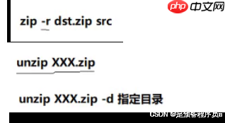 裝杯 之 Linux指令【補充篇】-小浪學習網