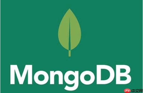 MongoDB索引優(yōu)化技巧有哪些 這些索引優(yōu)化技巧讓你的查詢速度提升10倍-小浪學(xué)習(xí)網(wǎng)