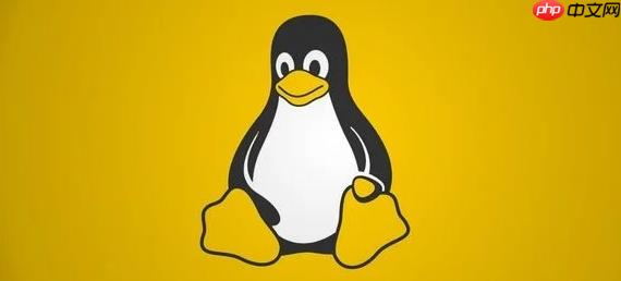 如何在Linux終端查看IP地址 簡(jiǎn)單幾步獲取本機(jī)IP地址信息