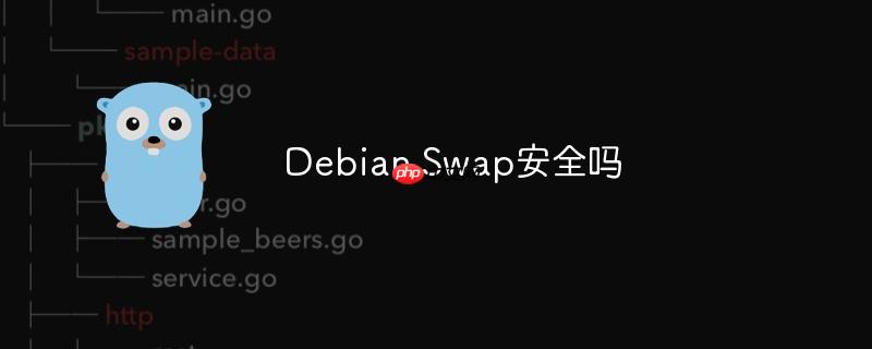 Debian Swap安全嗎-小浪學習網