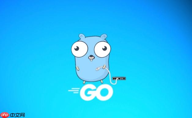 Golang中interface類型斷言失敗怎么處理