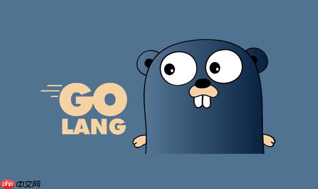 Golang怎么使用結構體標簽 Golang結構體技巧詳解-小浪學習網