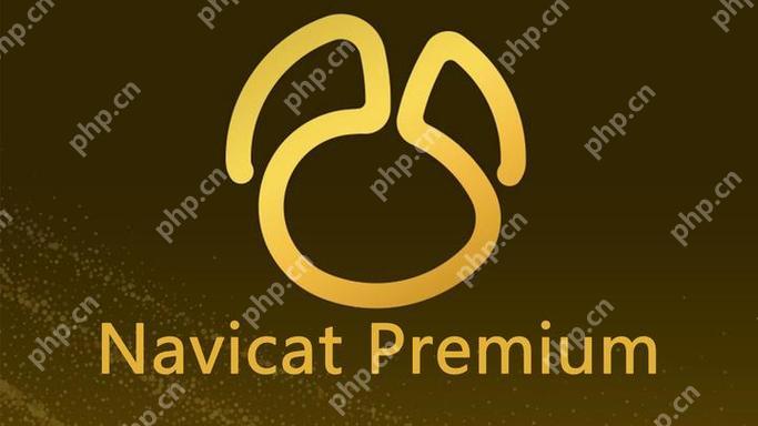 Navicat操作數據庫時的磁盤I/O性能優化策略-小浪學習網