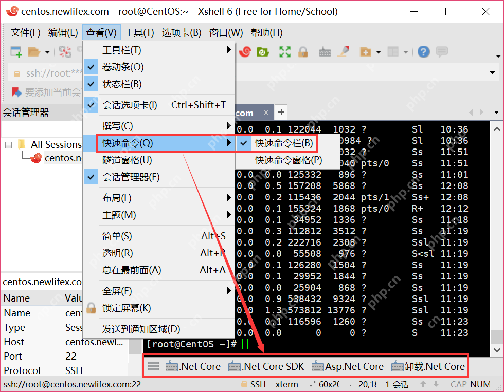 [netcore]CentOS安裝使用.netcore極簡教程（免費提供學習服務器） 		新生命團隊netcore服務器免費開放計劃