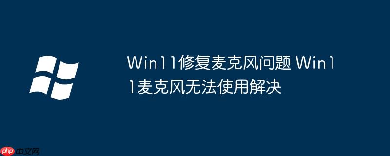 Win11修復麥克風問題 Win11麥克風無法使用解決