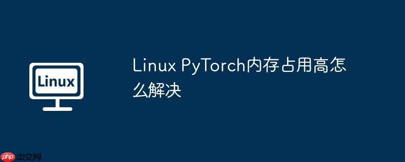 Linux PyTorch內存占用高怎么解決-小浪學習網