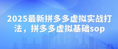 2025最新拼多多虛擬實戰(zhàn)打法，拼多多虛擬基礎(chǔ)sop-小浪學(xué)習(xí)網(wǎng)
