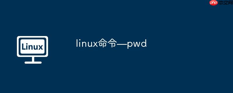 linux命令—pwd-小浪學習網
