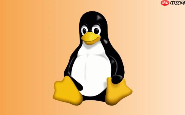 如何在Linux終端查看IP地址 簡(jiǎn)單幾步獲取本機(jī)IP地址信息