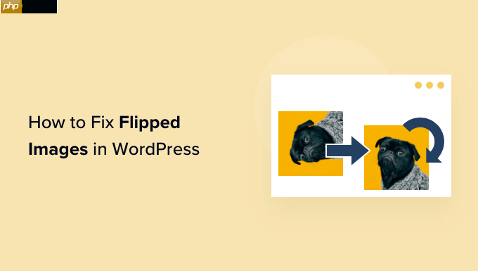 如何修復 WordPress 中顛倒或翻轉的圖像