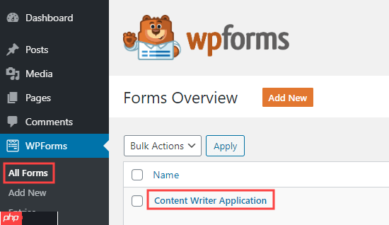 如何在 WordPress 中創建工作申請表（簡單）