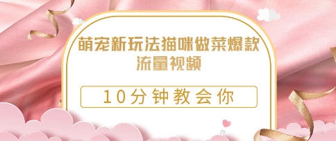萌寵新玩法貓咪做菜爆款流量視頻，10分鐘教會你-小浪學(xué)習(xí)網(wǎng)