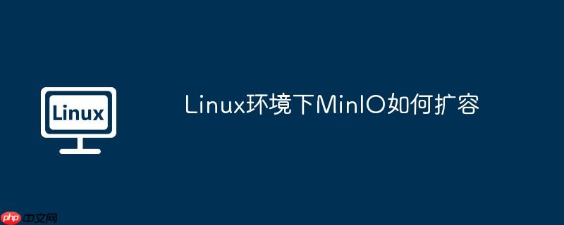 Linux環境下MinIO如何擴容-小浪學習網