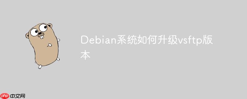 Debian系統如何升級vsftp版本-小浪學習網