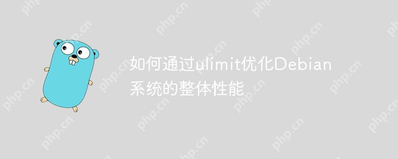 如何通過ulimit優化Debian系統的整體性能-小浪學習網