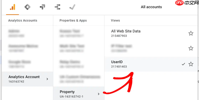 如何使用 Google Analytics 在 WooCommerce 中啟用客戶跟蹤