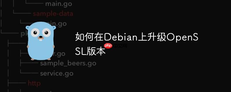 如何在Debian上升級OpenSSL版本-小浪學習網