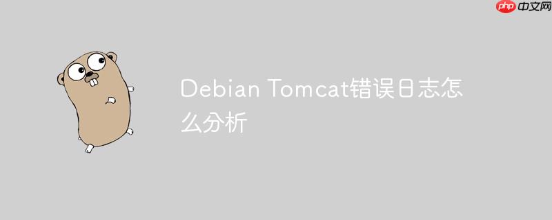 Debian Tomcat錯誤日志怎么分析-小浪學習網