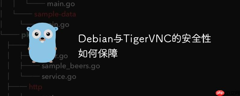 Debian與TigerVNC的安全性如何保障-小浪學習網