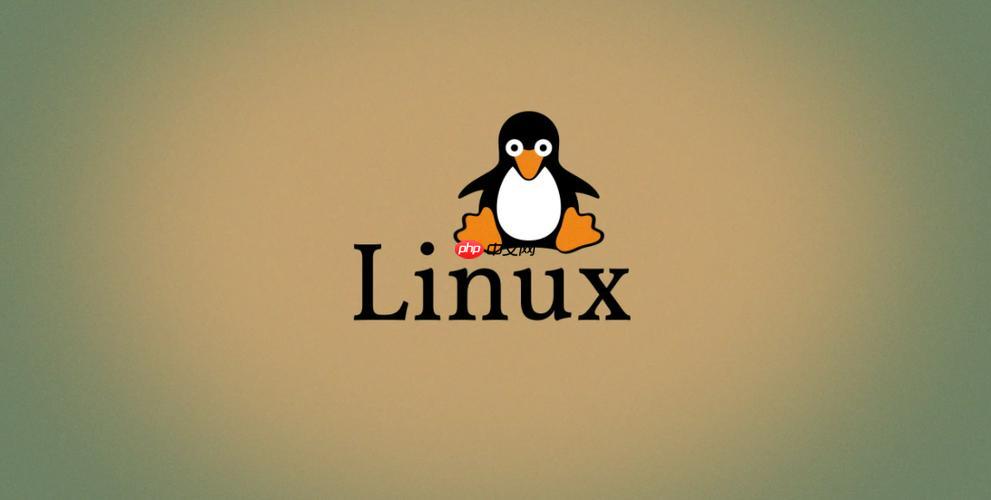 如何解決Linux命令"Invalid option"參數(shù)錯(cuò)誤-小浪學(xué)習(xí)網(wǎng)