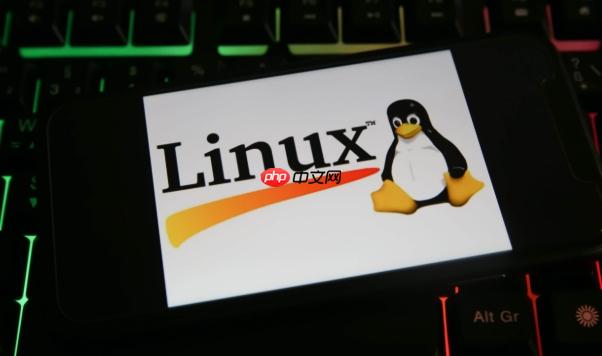 如何在Linux中創建軟鏈接 快速學會創建和管理軟鏈接的方法-小浪學習網