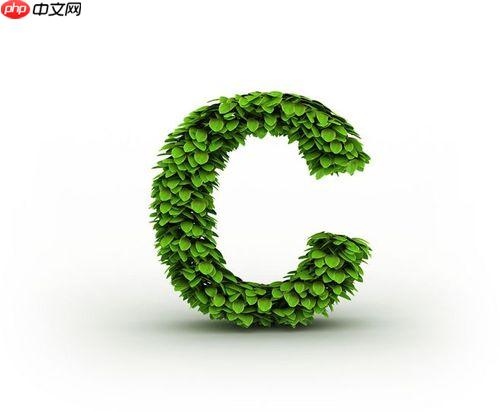 C++中如何使用智能指針_智能指針使用指南與示例