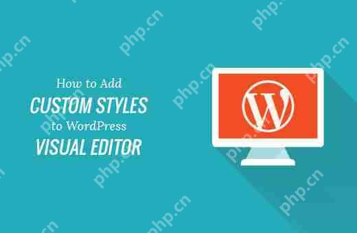 如何將自定義樣式添加到 WordPress 可視化編輯器-小浪學習網