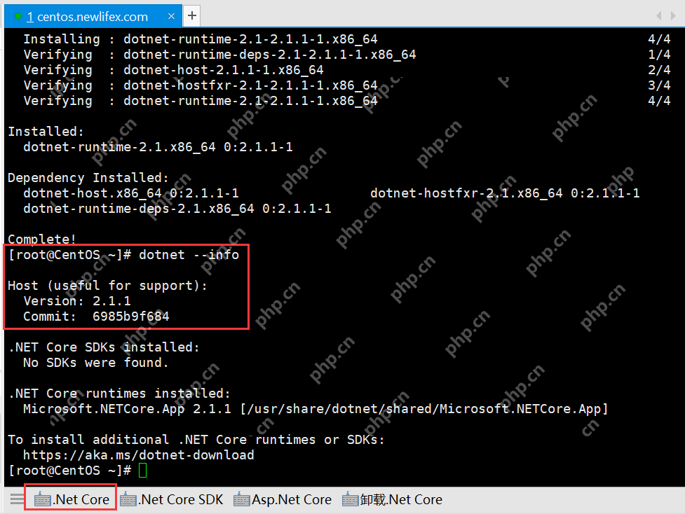 [netcore]CentOS安裝使用.netcore極簡教程（免費提供學習服務器） 		新生命團隊netcore服務器免費開放計劃