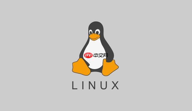 如何掛載ISO文件在Linux系統中？mount與umount操作步驟說明-小浪學習網