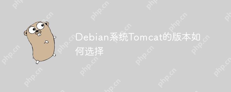 Debian系統Tomcat的版本如何選擇-小浪學習網